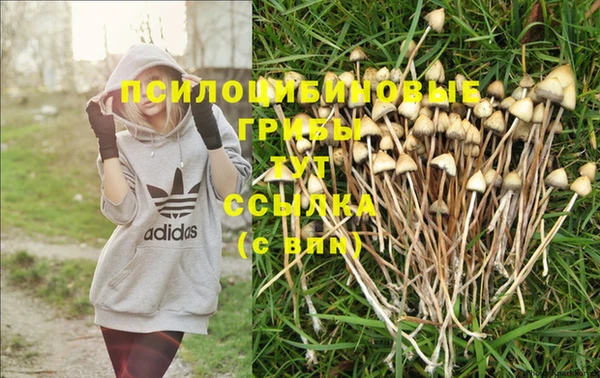 mix Магас