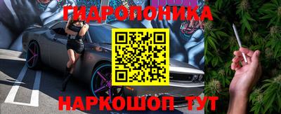 мет Кингисепп