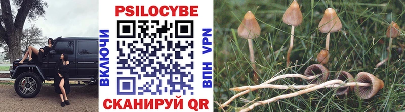 продажа наркотиков Фурманов Галлюциногенные грибы Cubensis