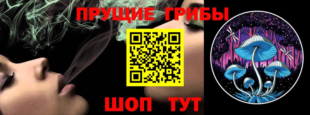 Псилоцибиновые грибы Cubensis Фурманов