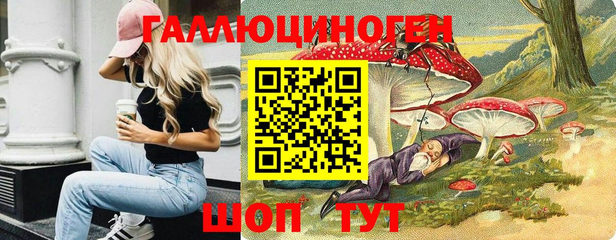 Псилоцибиновые грибы Psilocybe  Вход с VPN  Фурманов 